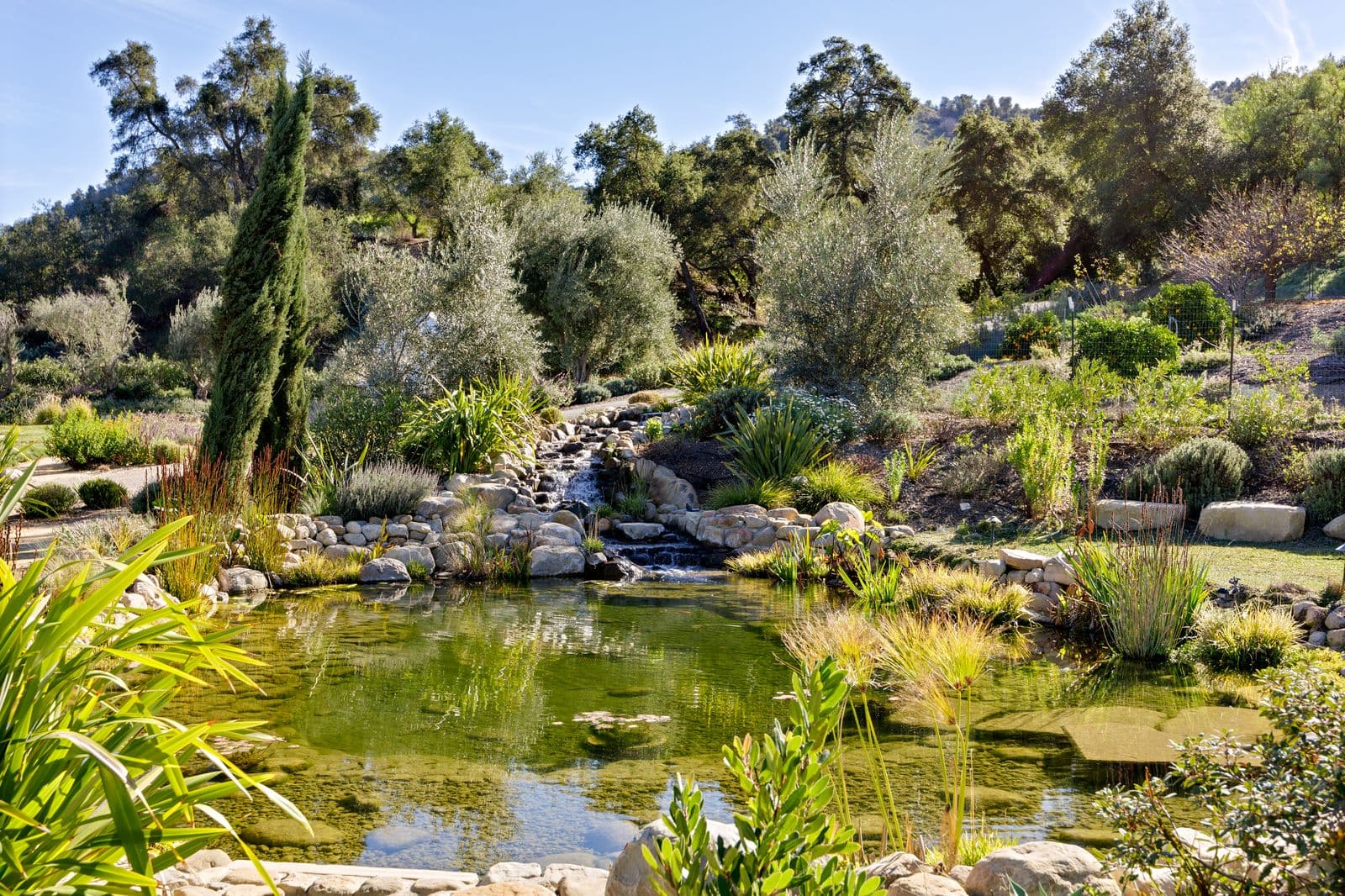 13202 Ojai Rd — photo 123